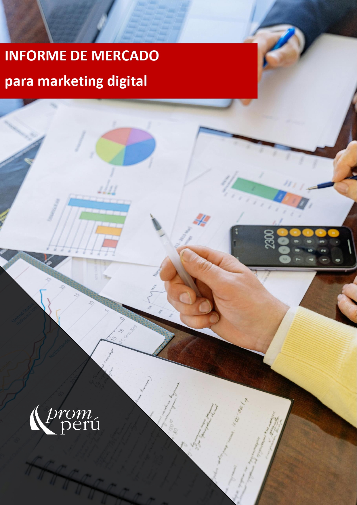 Informe de mercado para marketing digital