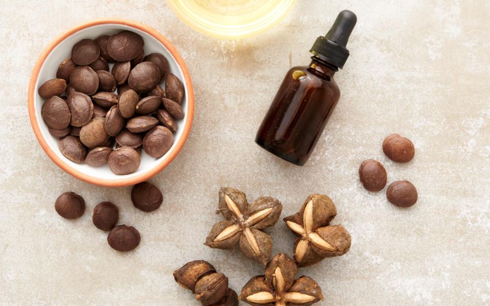 Reporte de innovación de sacha inchi en producto de cuidado capilar en Estados Unidos