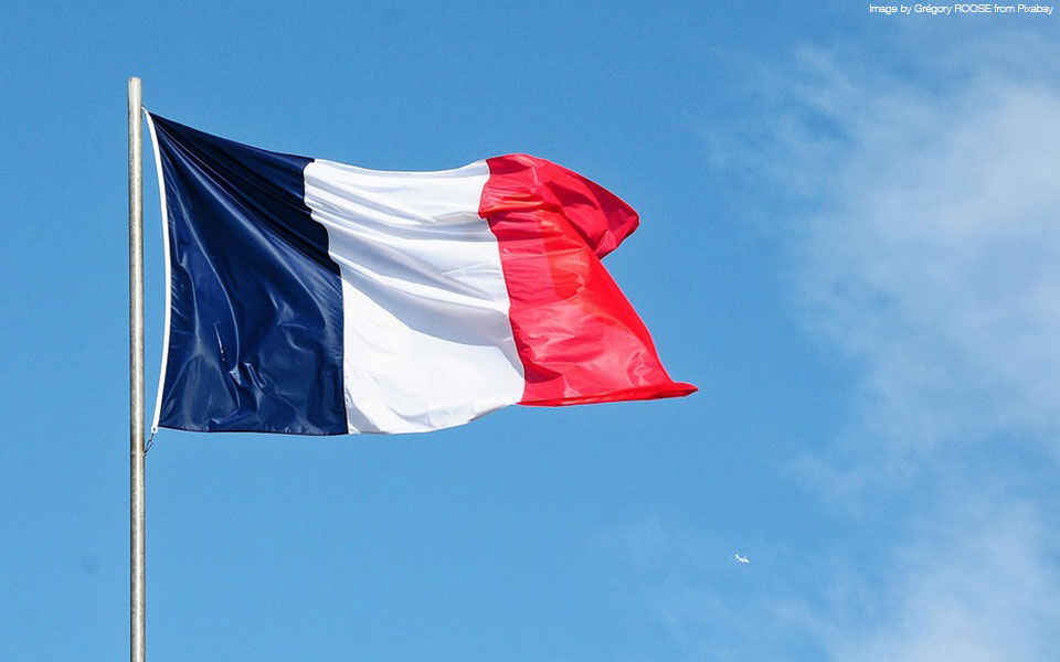 Guía de mercado de Francia